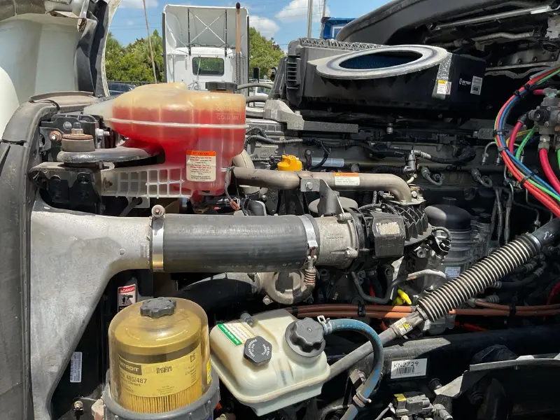 2019 FREIGHTLINER CASCADIA 126