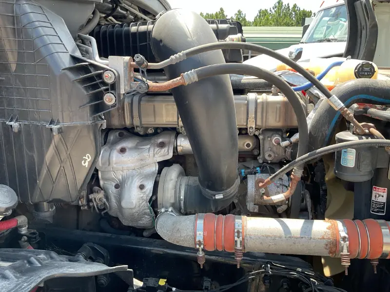 2019 FREIGHTLINER CASCADIA 126