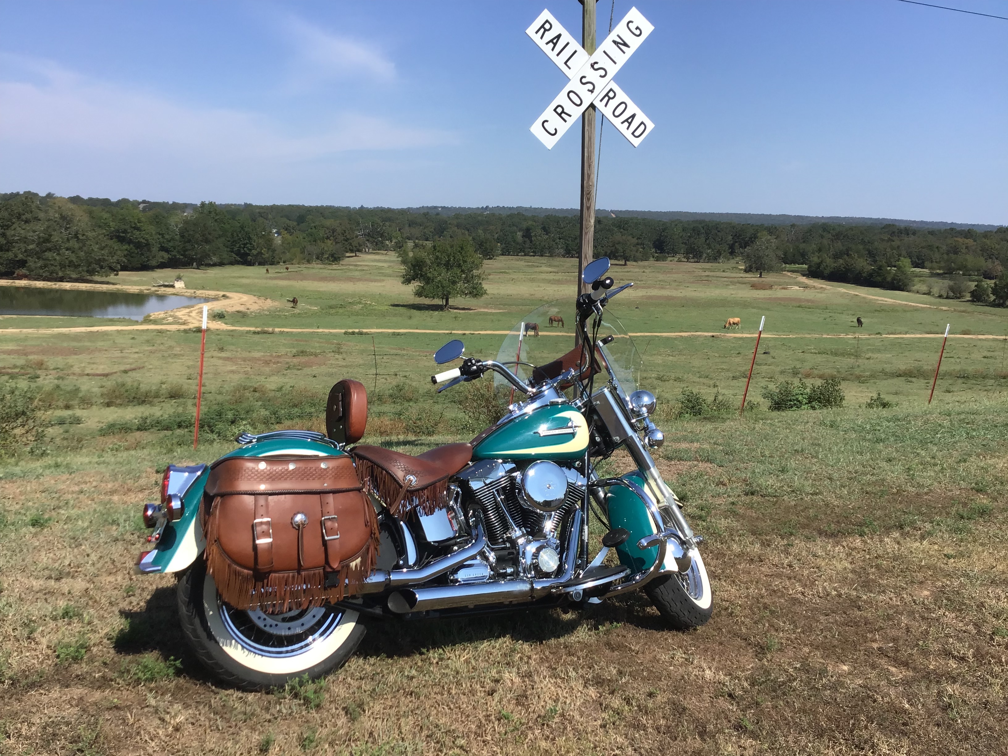 2009 Harley-Davidson HERITAGE SOFTAIL CLASSIC CLASSIC in Greenwood, AR