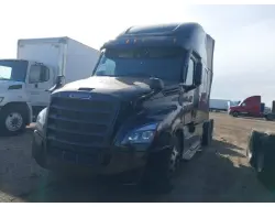 2024 FREIGHTLINER CASCADIA 126