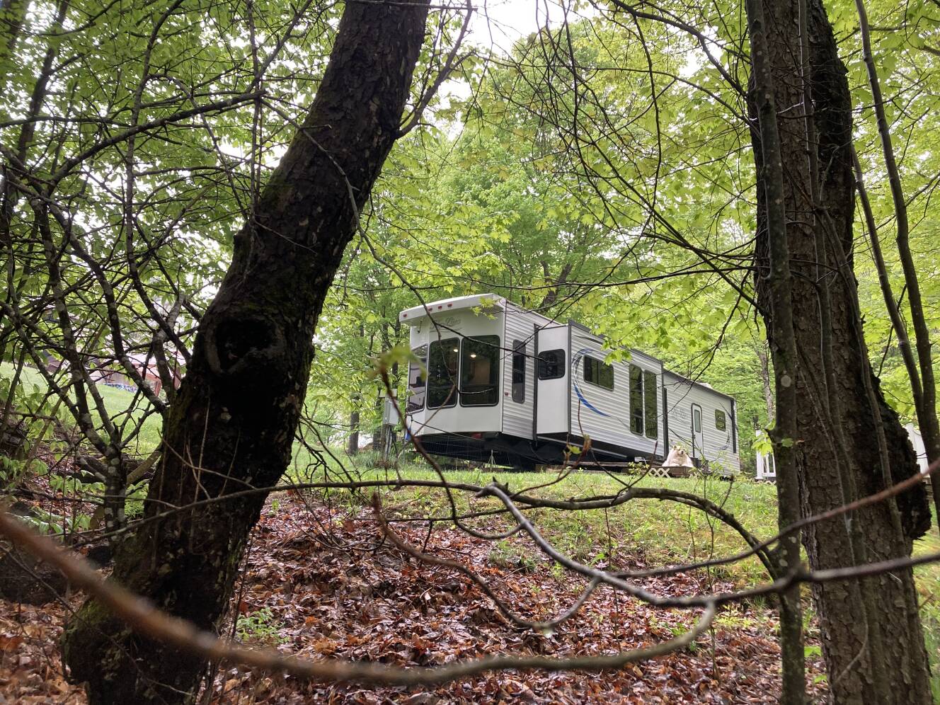 A photo of this 2021 Hy-Line HY 44 IKDN