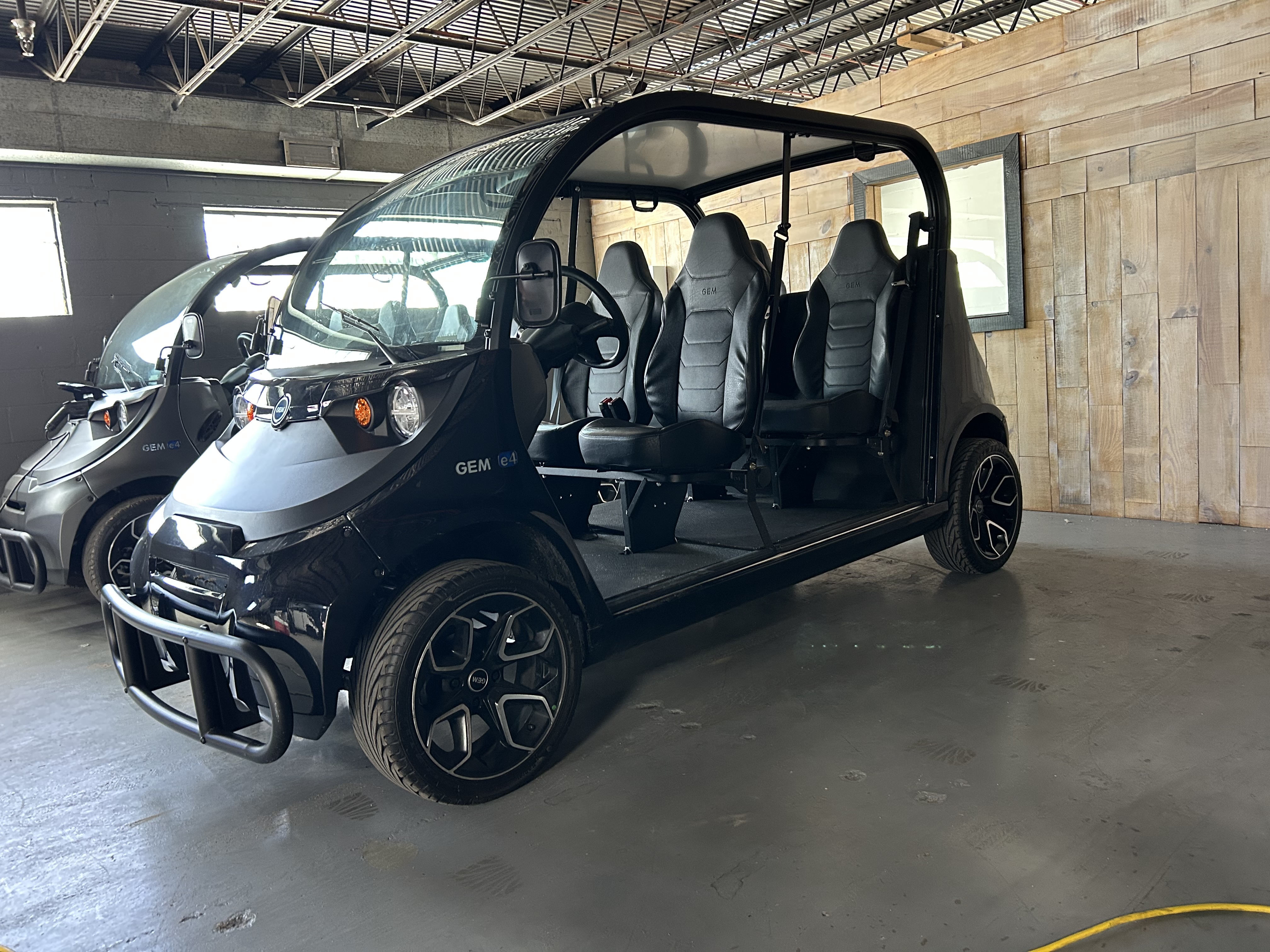 2023 Gem E4 Golf Carts All ATV