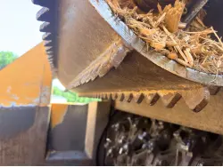 2022 BRUSH BANDIT BEAST 3680