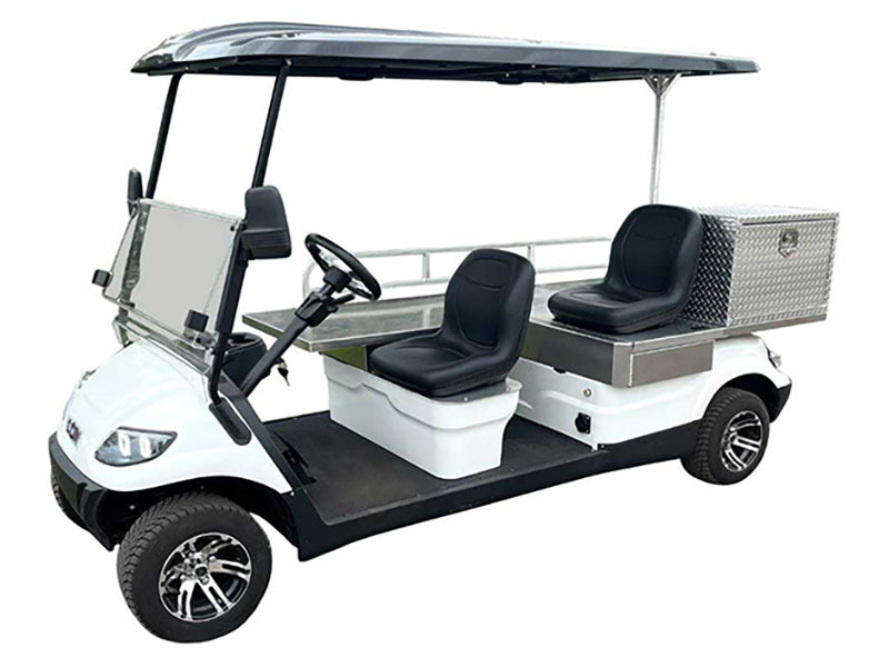 2024 Icon Electric Vehicles C30AMB in newfield NJ