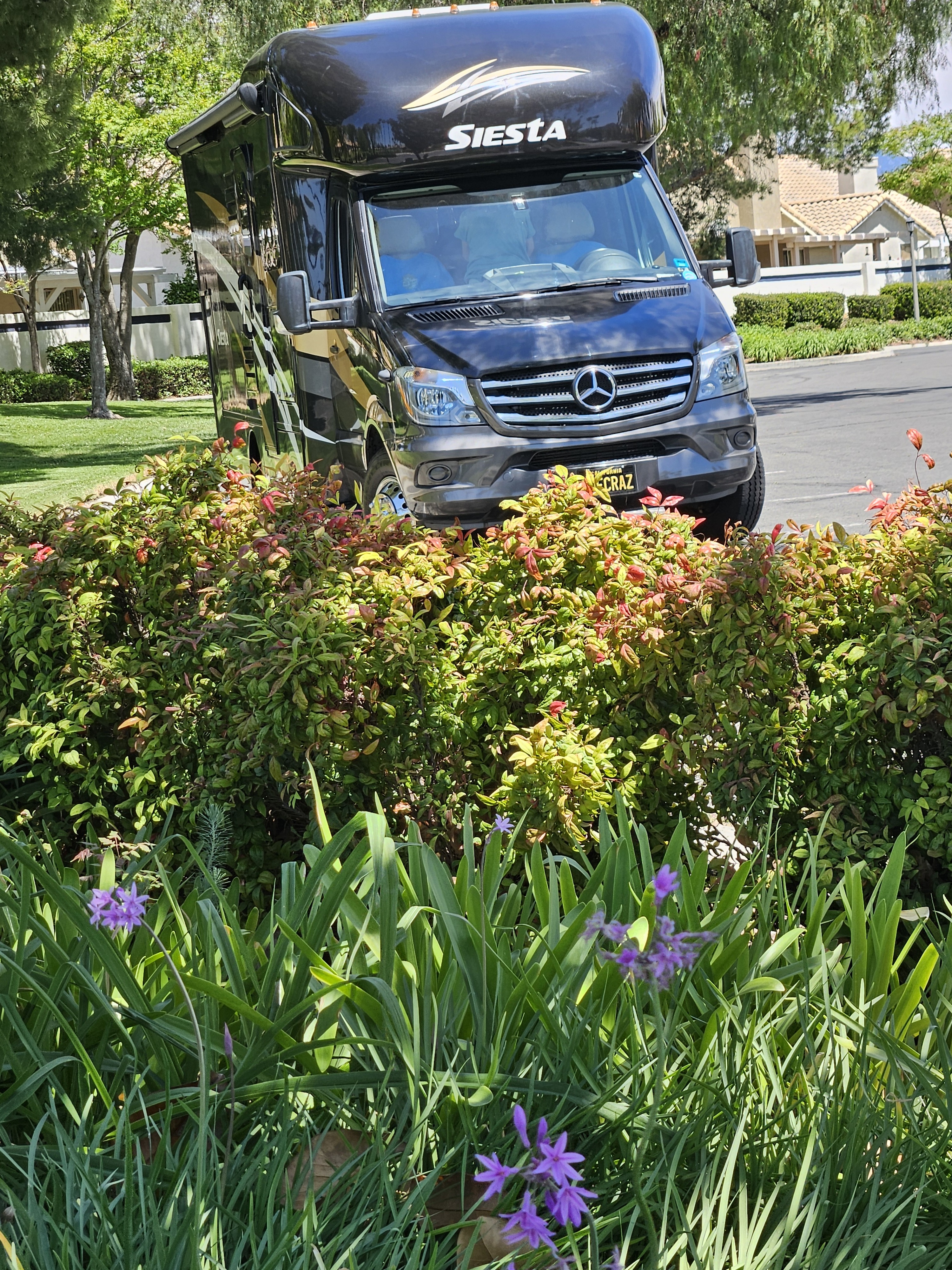 2019 Thor Motor Coach SIESTA SPRINTER 24SK in banning CA