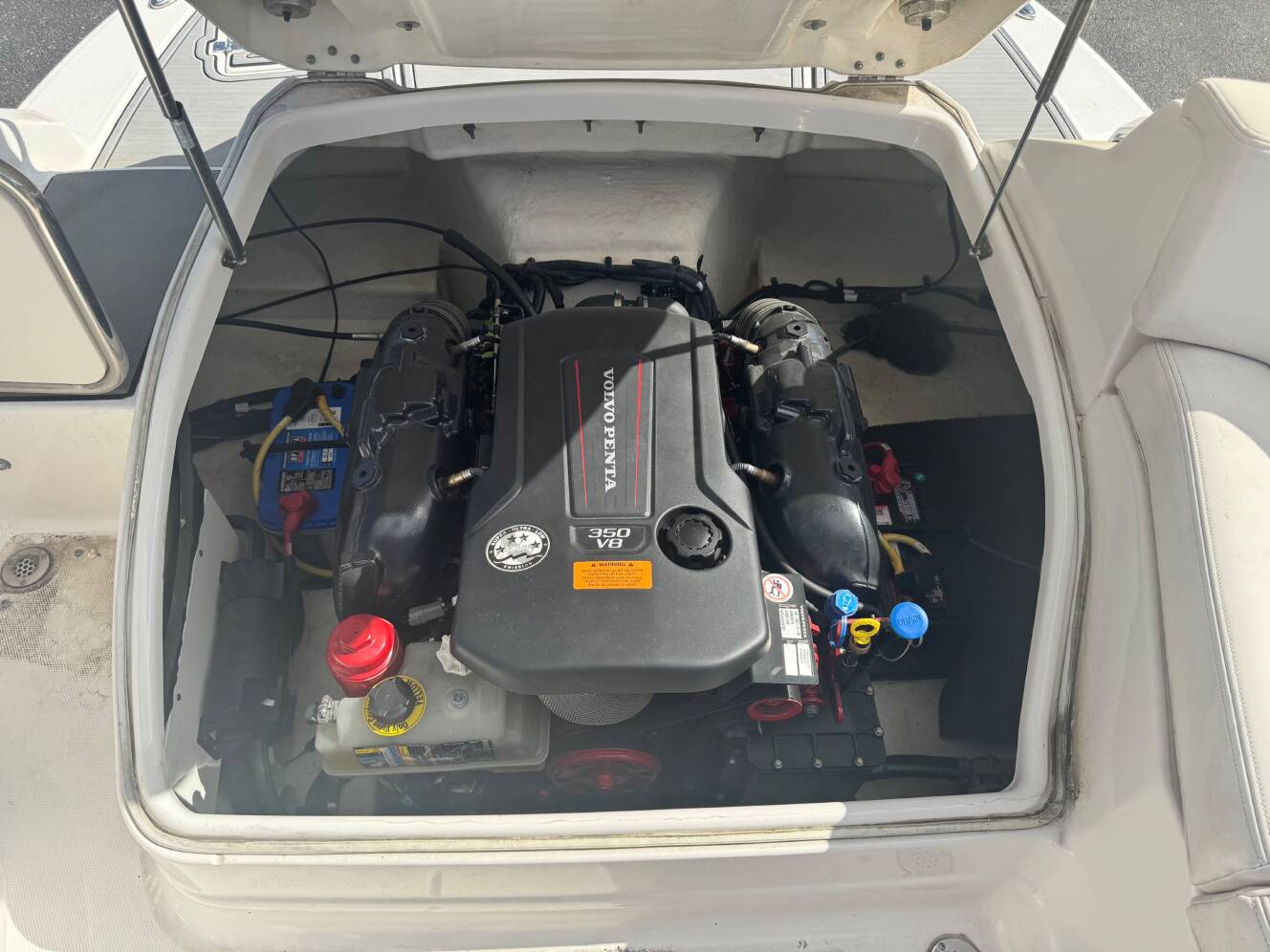 A photo of this 2019 Chaparral 244 Sunesta Surf