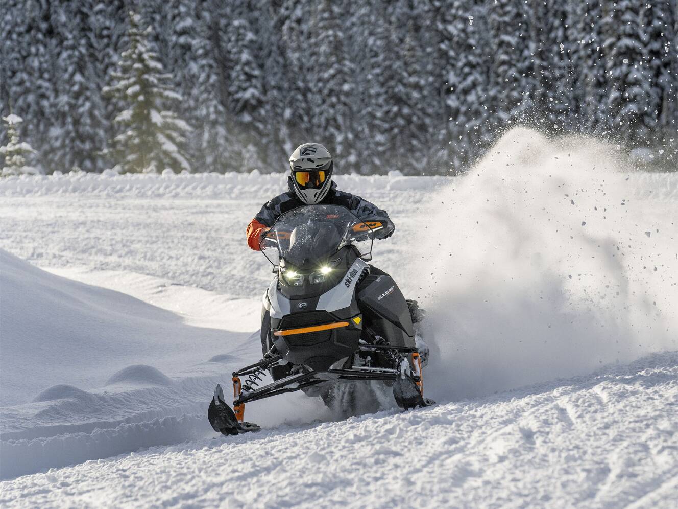 A photo of this 2026 Ski-Doo Backcountry Adrenaline 850 E-TEC ES Storm 1.5