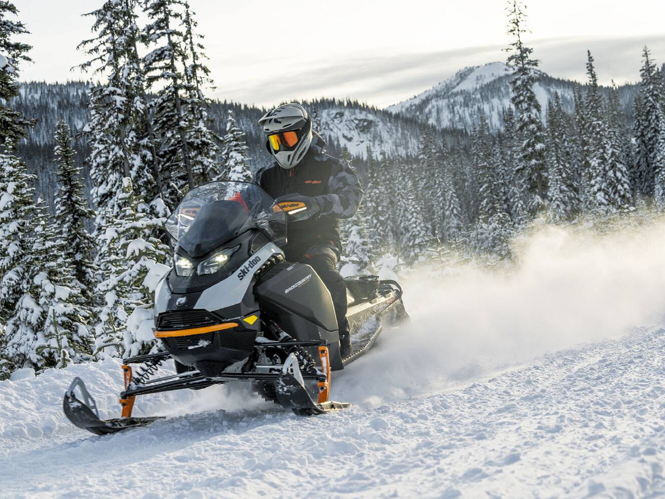A photo of this 2026 Ski-Doo Backcountry Adrenaline 850 E-TEC ES Storm 1.5