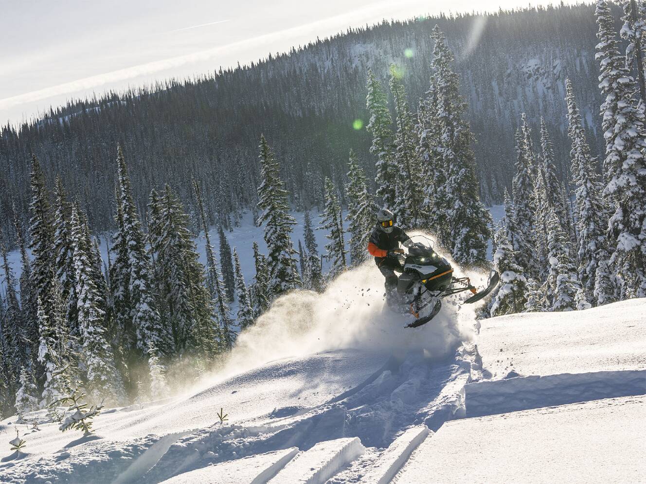 A photo of this 2026 Ski-Doo Backcountry Adrenaline 850 E-TEC ES PowderMax 2.0