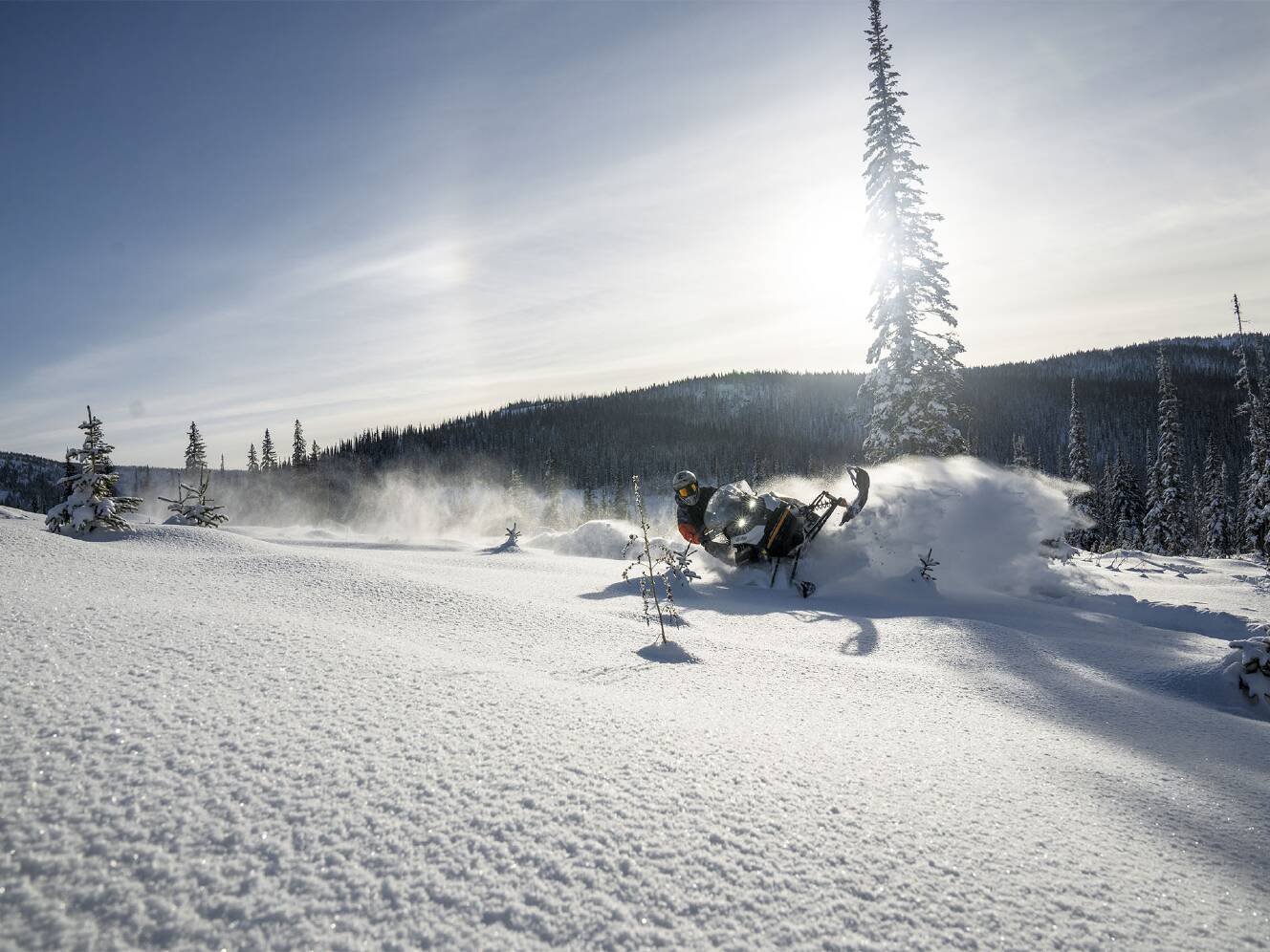 A photo of this 2026 Ski-Doo Backcountry Adrenaline 850 E-TEC ES PowderMax 2.0