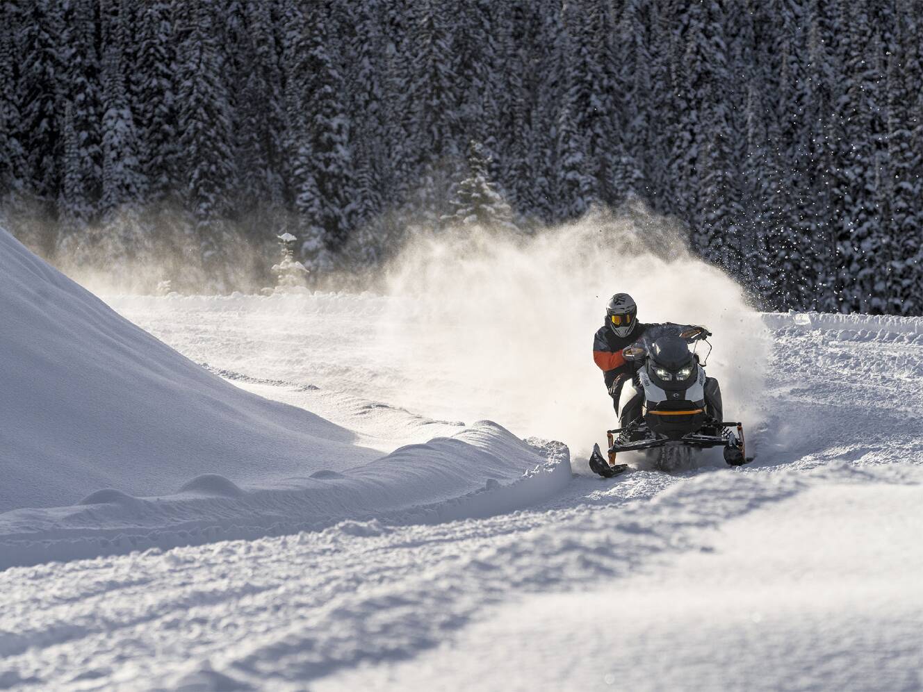 A photo of this 2026 Ski-Doo Backcountry Adrenaline 850 E-TEC ES PowderMax 2.0