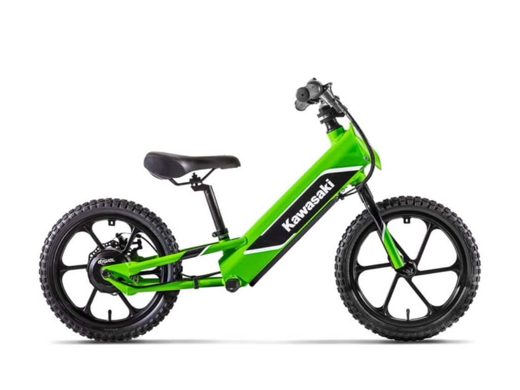 two wheel drive electric bicycle Pioneer 2 Long Range Electric Bike | 750W, 120-Mile Range