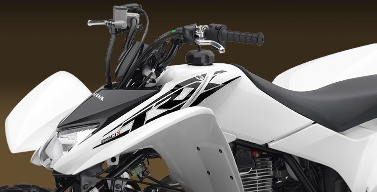 2017 Honda TRX250X in bartonsville PA