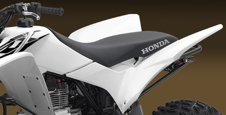 2017 Honda TRX250X in bartonsville PA