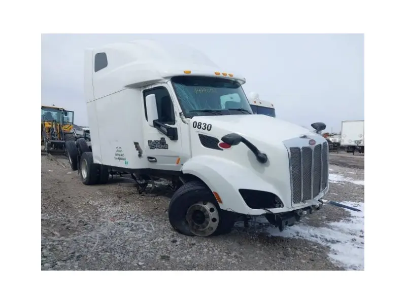 2019 PETERBILT 579