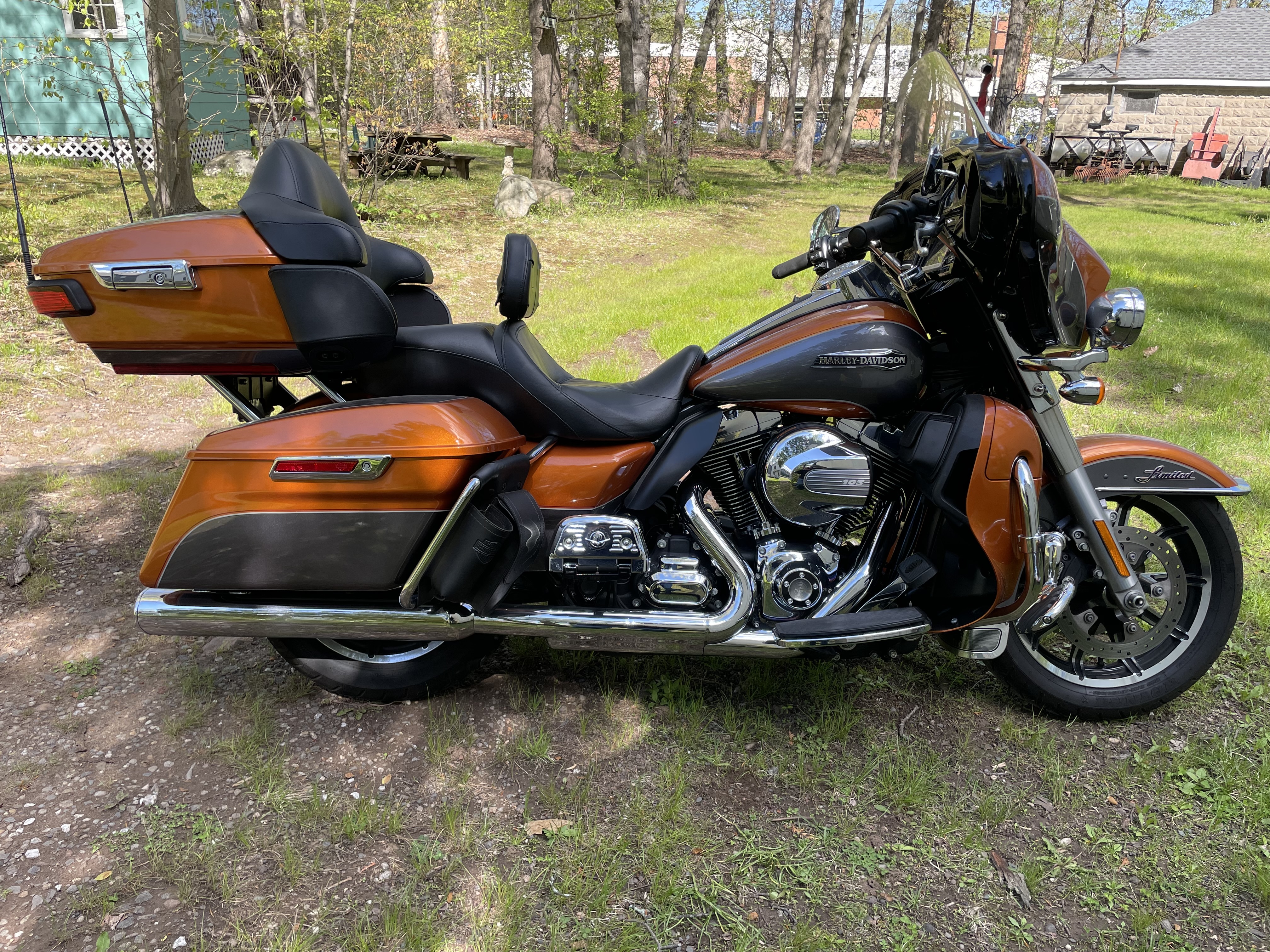 2016 Harley-Davidson FLSTFI BASE BASE in Plainville, CT