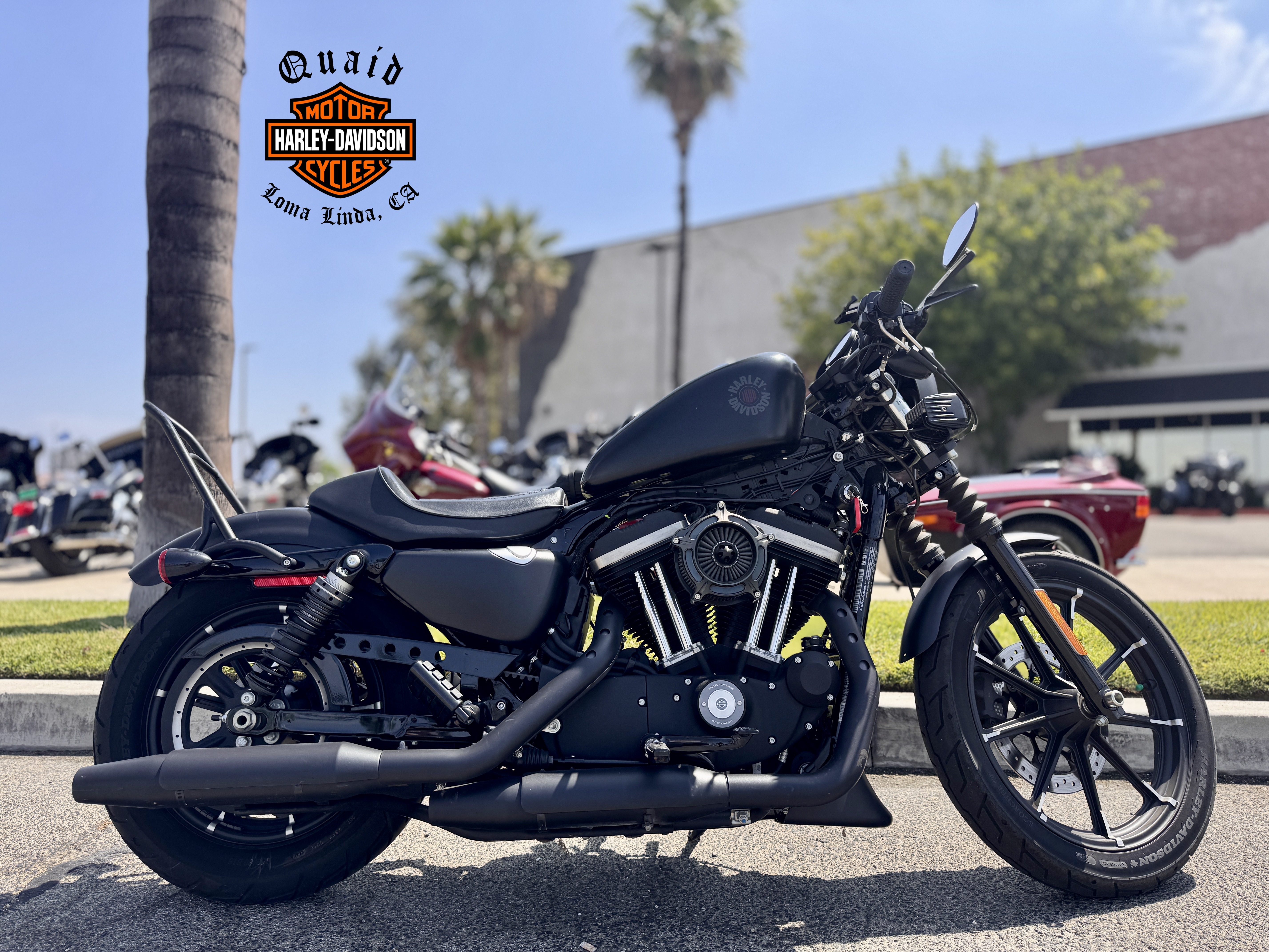 2019 Harley-Davidson SPORTSTER IRON 883 in Loma Linda, CA