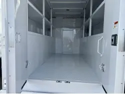 2025 FORD ECONOLINE