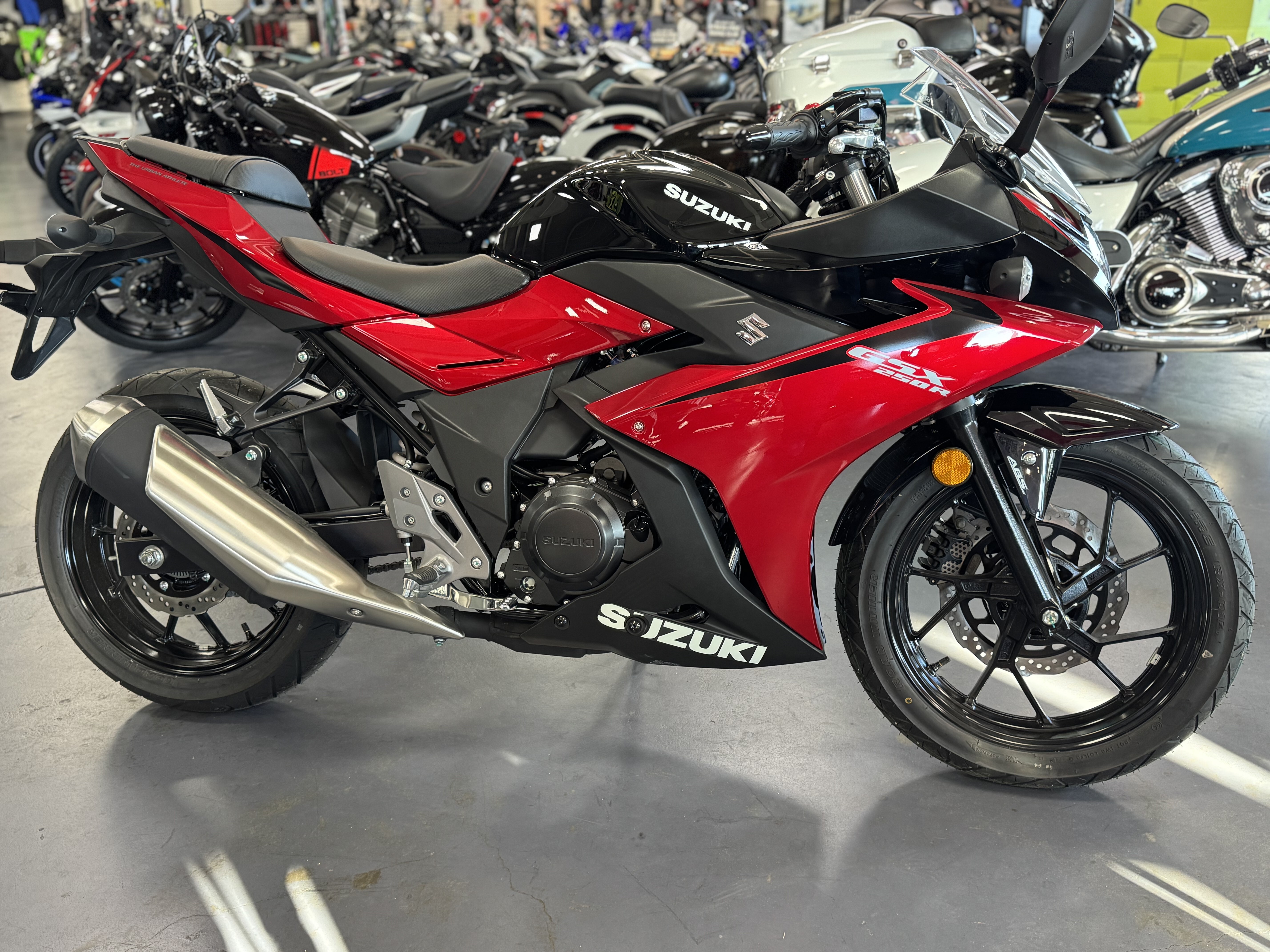 2025 Suzuki GSX250R ABS 250R in Florence, SC