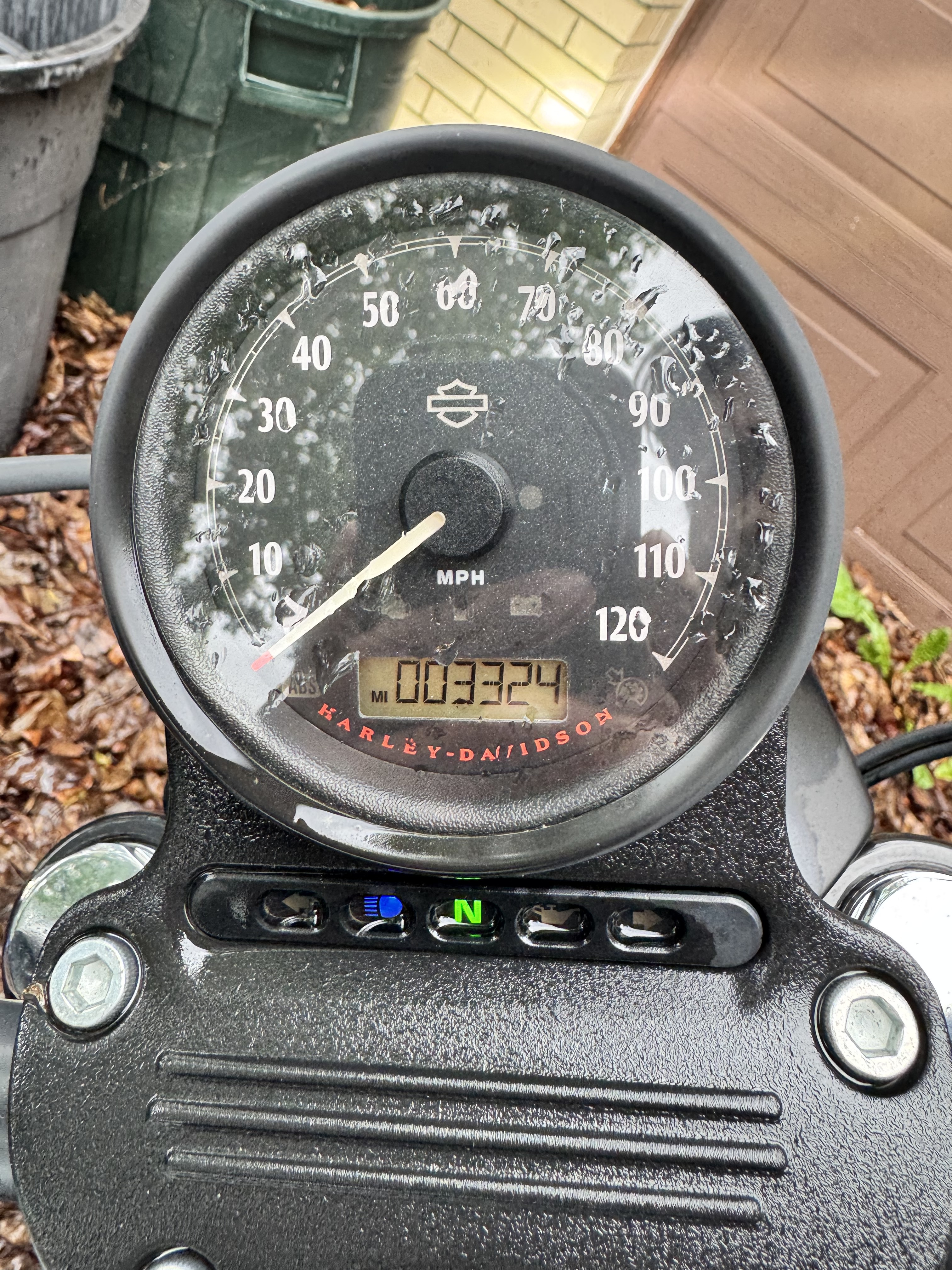 2020 Harley-Davidson SPORTSTER 883 IRON IRON in Clairton, PA