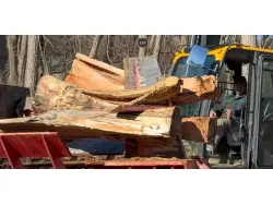 2021 TIMBERWOLF TW-10RC