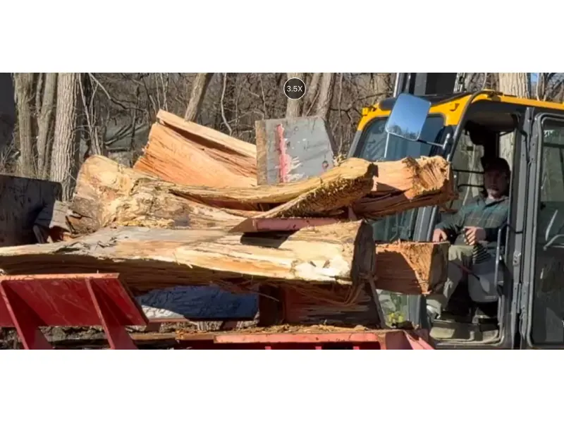 2021 TIMBERWOLF TW-10RC