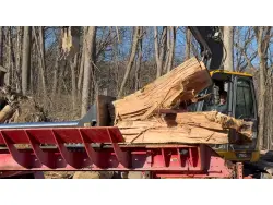 2021 TIMBERWOLF TW-10RC