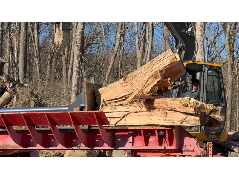 2021 TIMBERWOLF TW-10RC