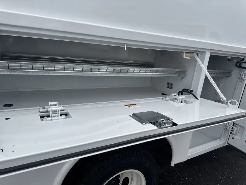 2025 FORD ECONOLINE