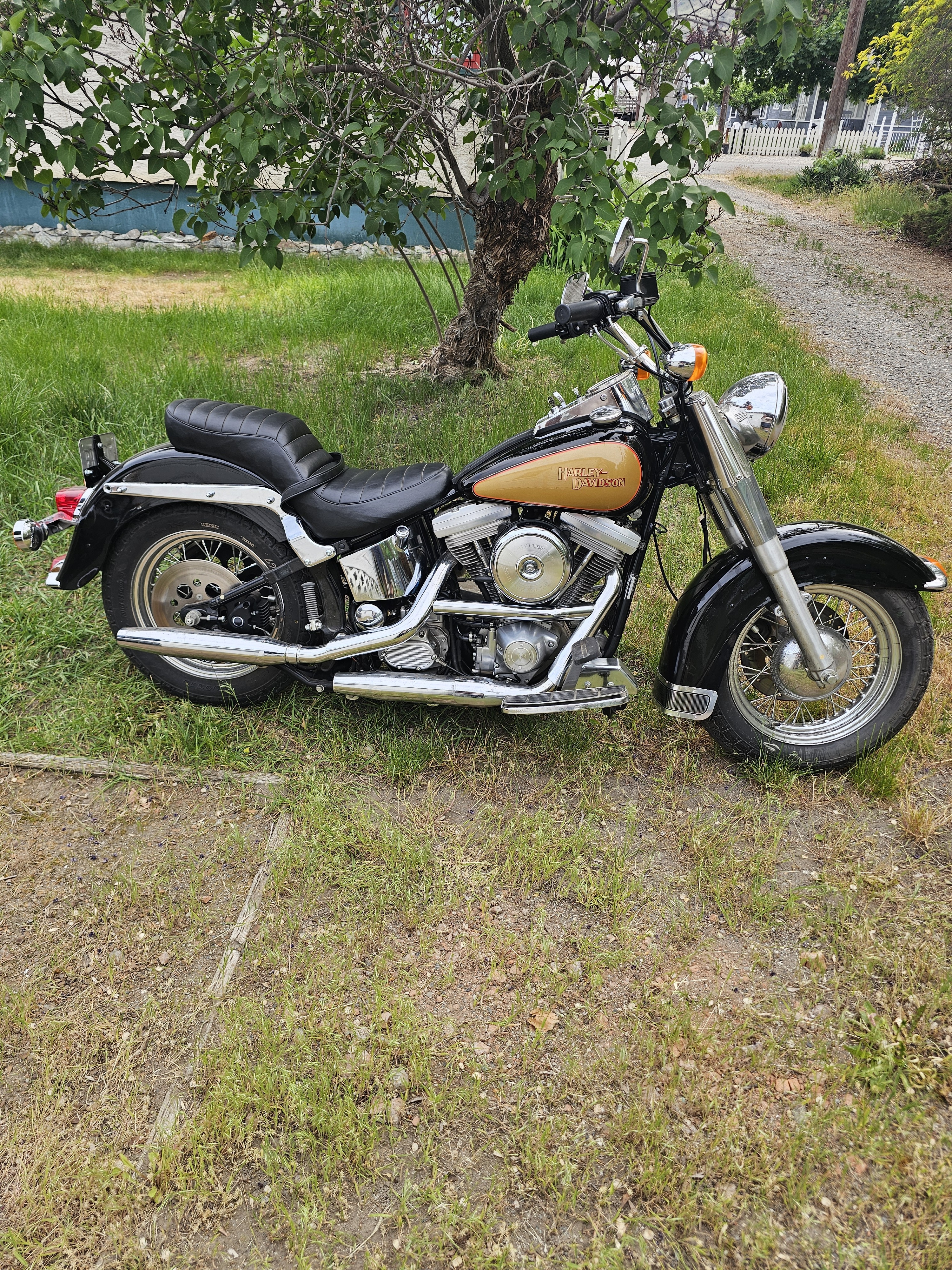 1987 Harley-Davidson Motorcycles For Sale - Cycle Trader