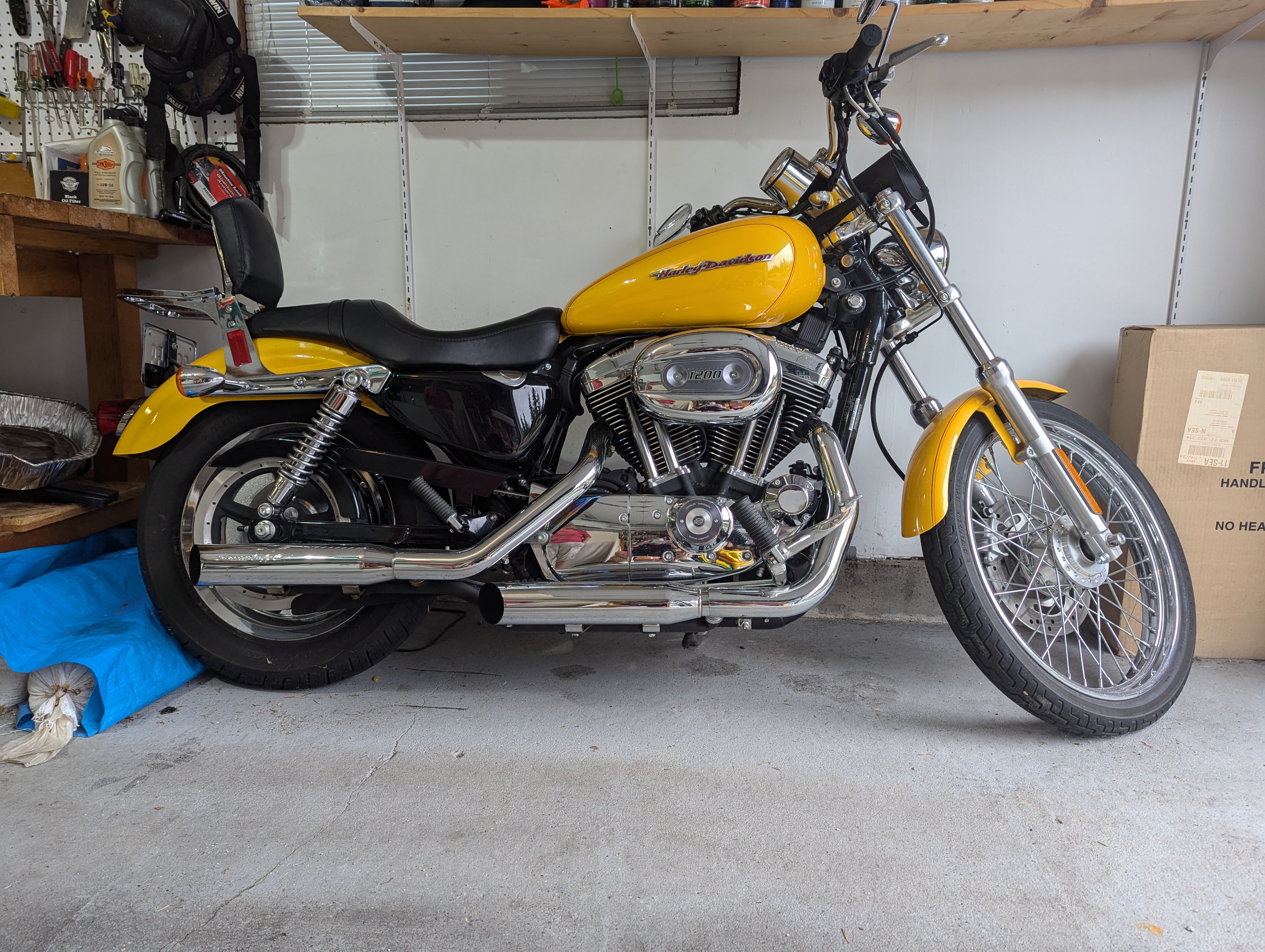 2006 Harley-Davidson SPORTSTER 1200 CUSTOM XL1200C CUSTOM XL1200C in Camano Island, WA