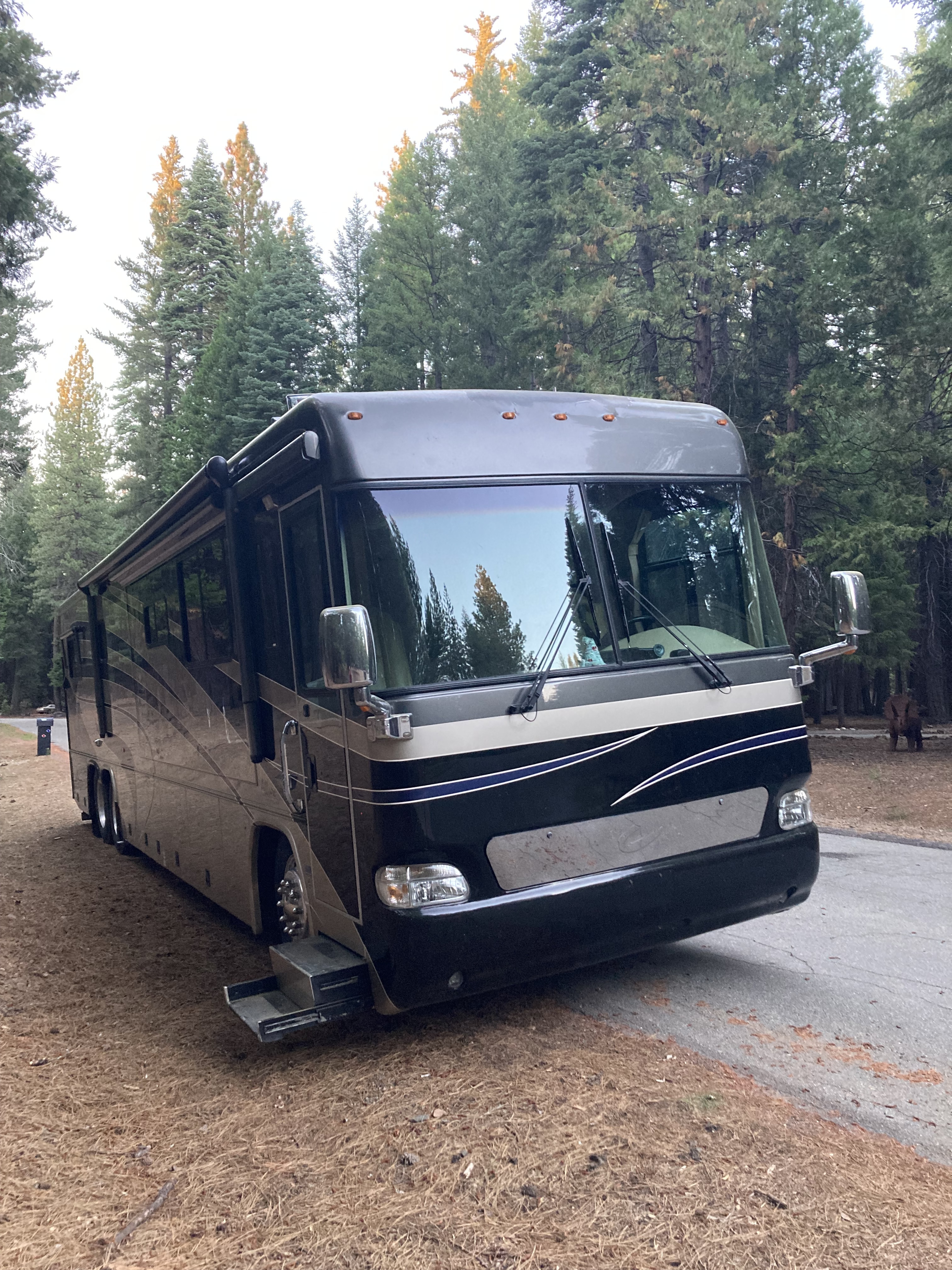 2004 Country Coach ALLURE 40 NEWPORT in shingletown CA