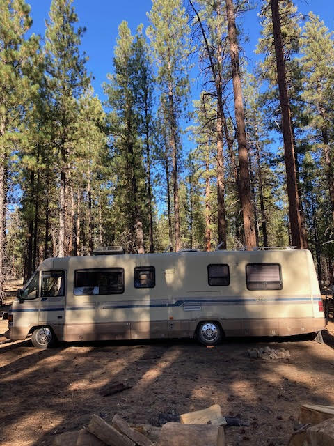 1989 Winnebago CHIEFTAIN 31RQ in woodland WA