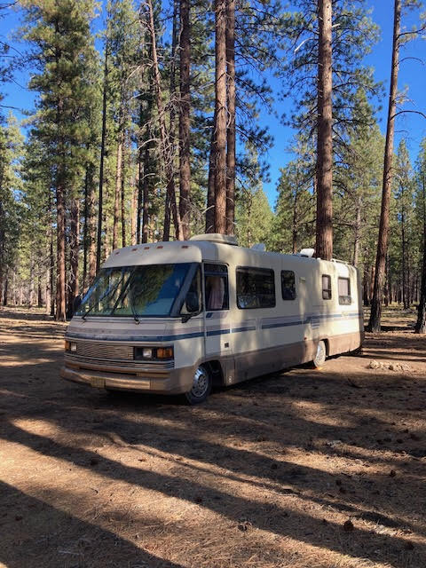 1989 Winnebago CHIEFTAIN 31RQ in woodland WA
