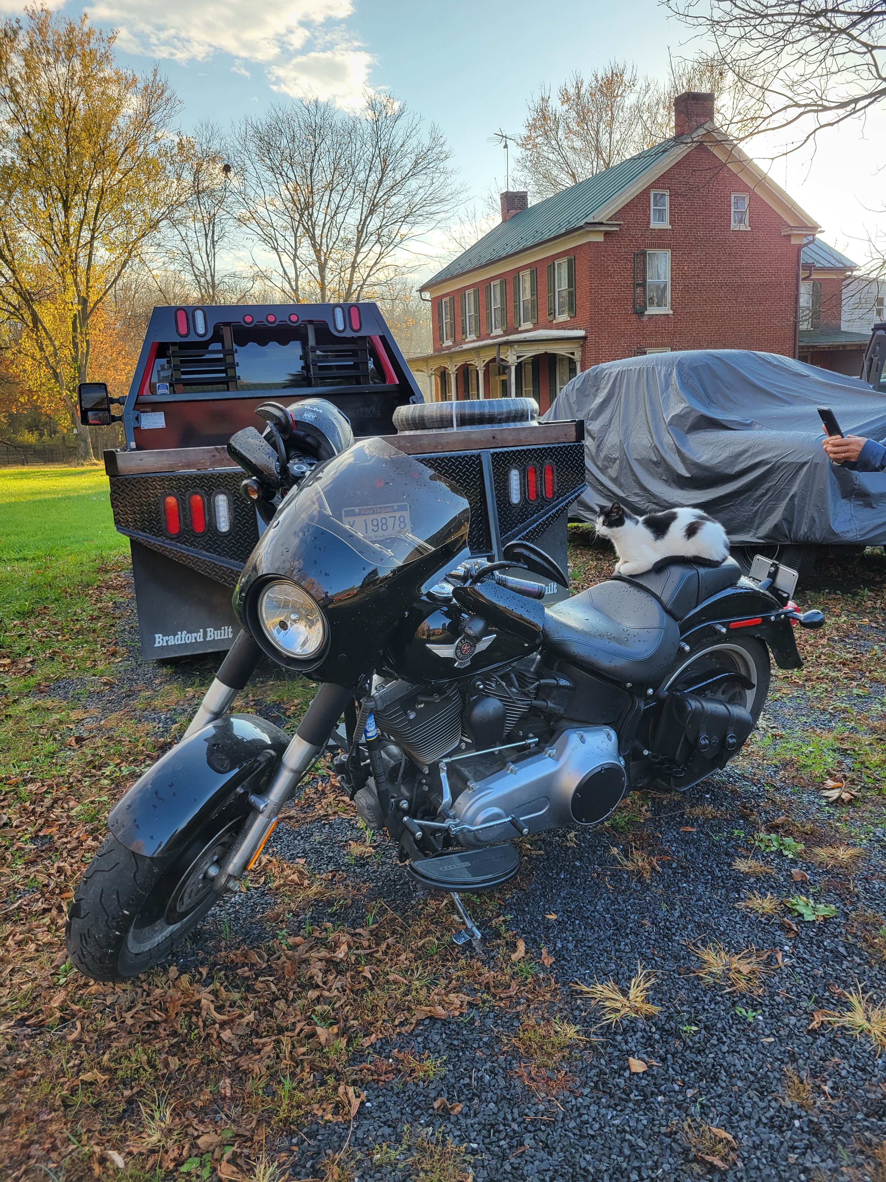 2010 Harley-Davidson FAT BOY LO LO in Kearneysville, WV