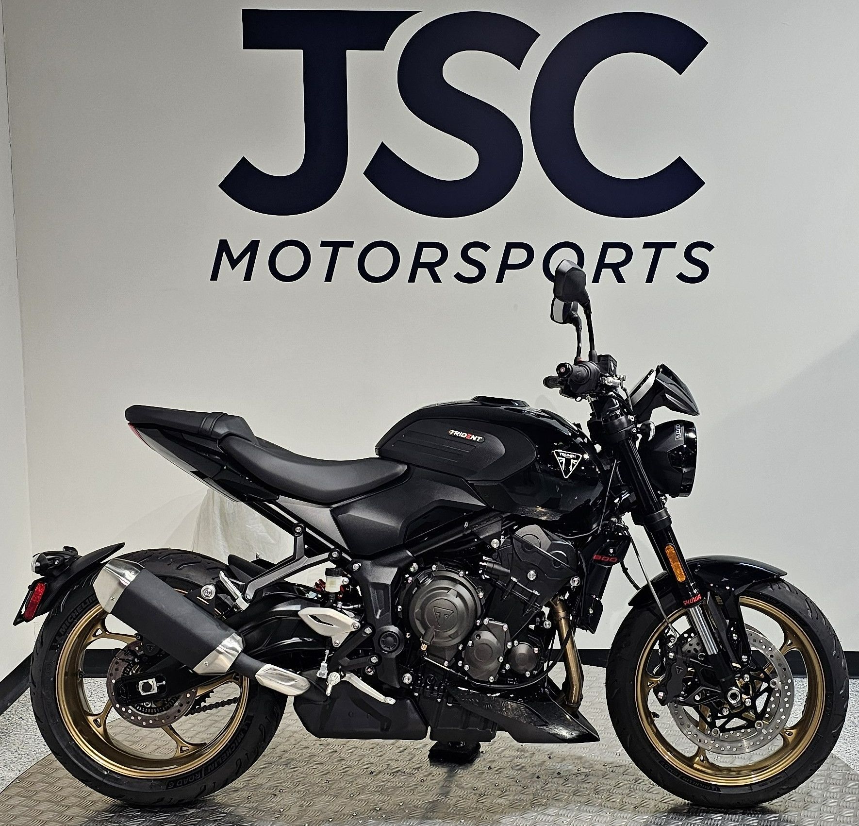 2026 Triumph Trident 800 800 in Albany, NY