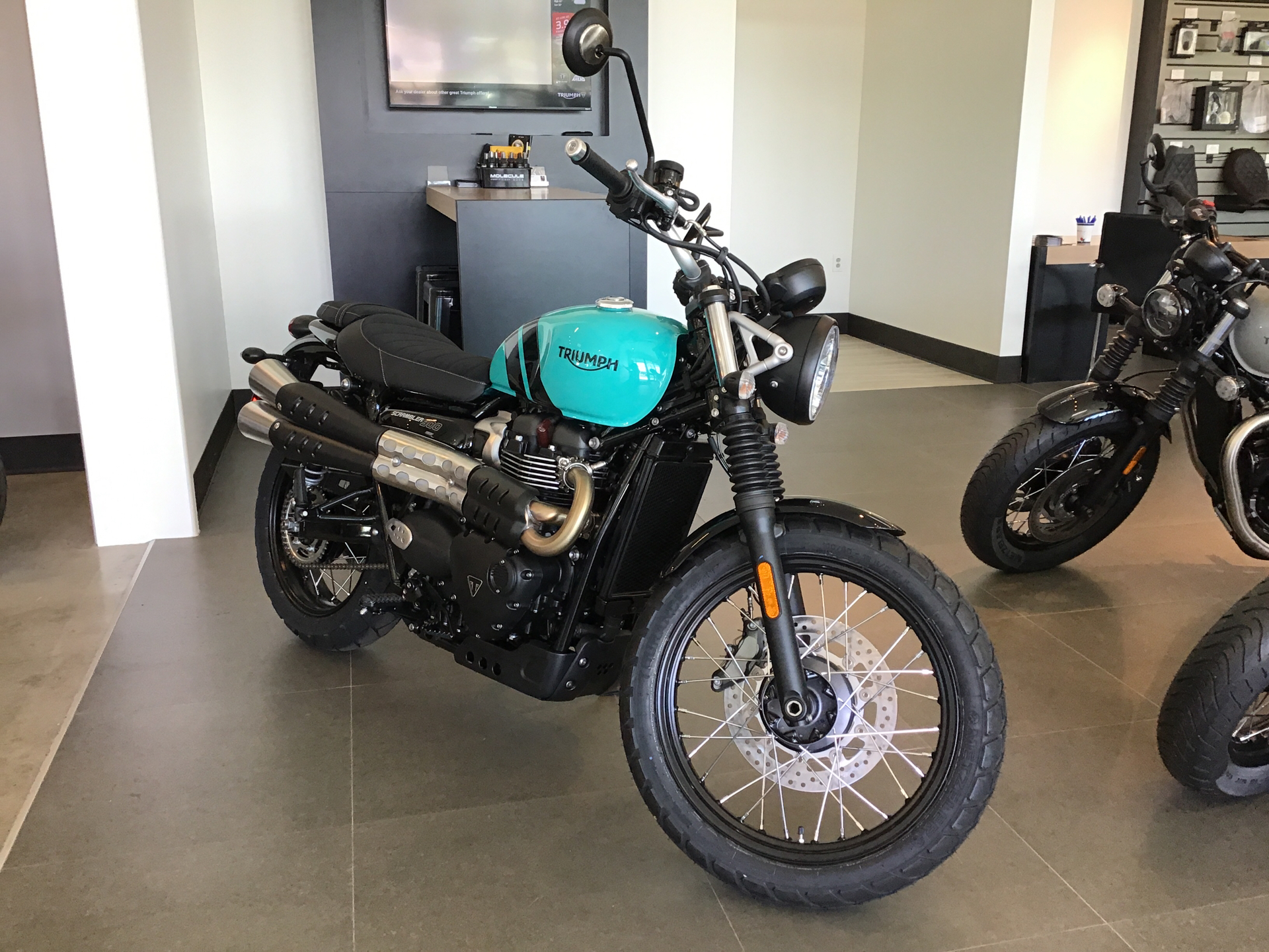Blue Honda,kawasaki,suzuki,triumph Standard Motorcycles For Sale