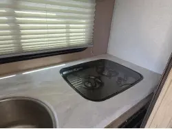 2020 FOREST RIVER R Pod196
