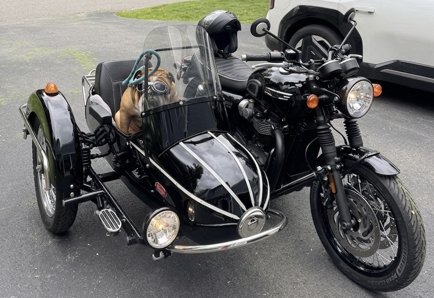 Standard Motorcycles For Sale Near Pembroke, NH - Cycle Trader