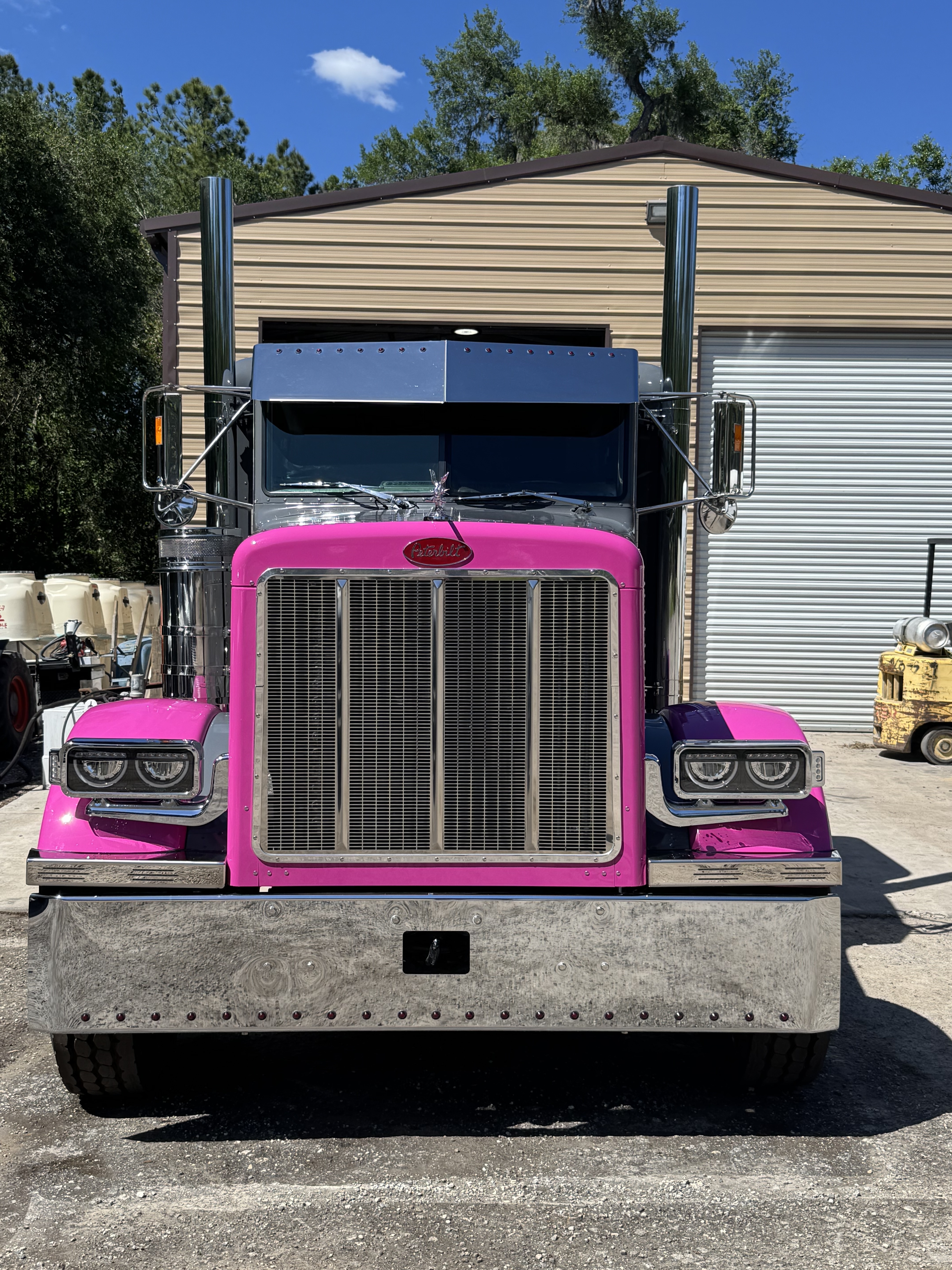1996 PETERBILT 379 in Brooksville, FL