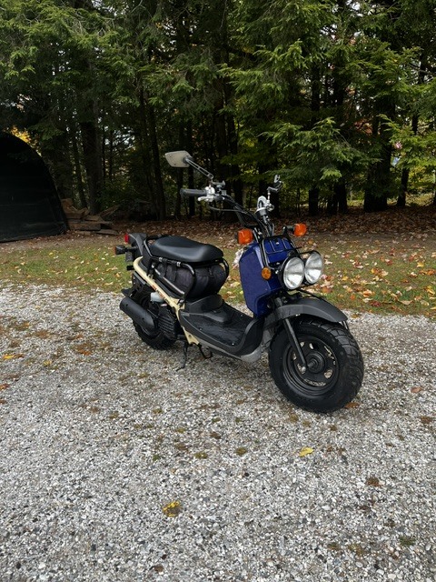 Buell,honda,kawasaki,triumph,yamaha,zero Motorcycles Motorcycles