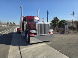 2022 PETERBILT 389