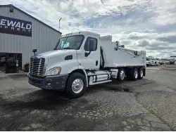 2013 FREIGHTLINER CASCADIA 113