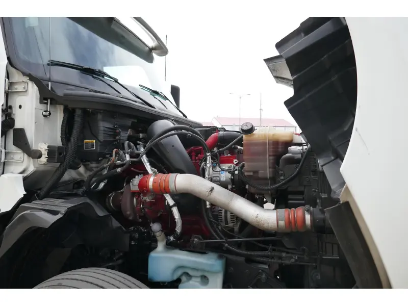 2019 INTERNATIONAL LT