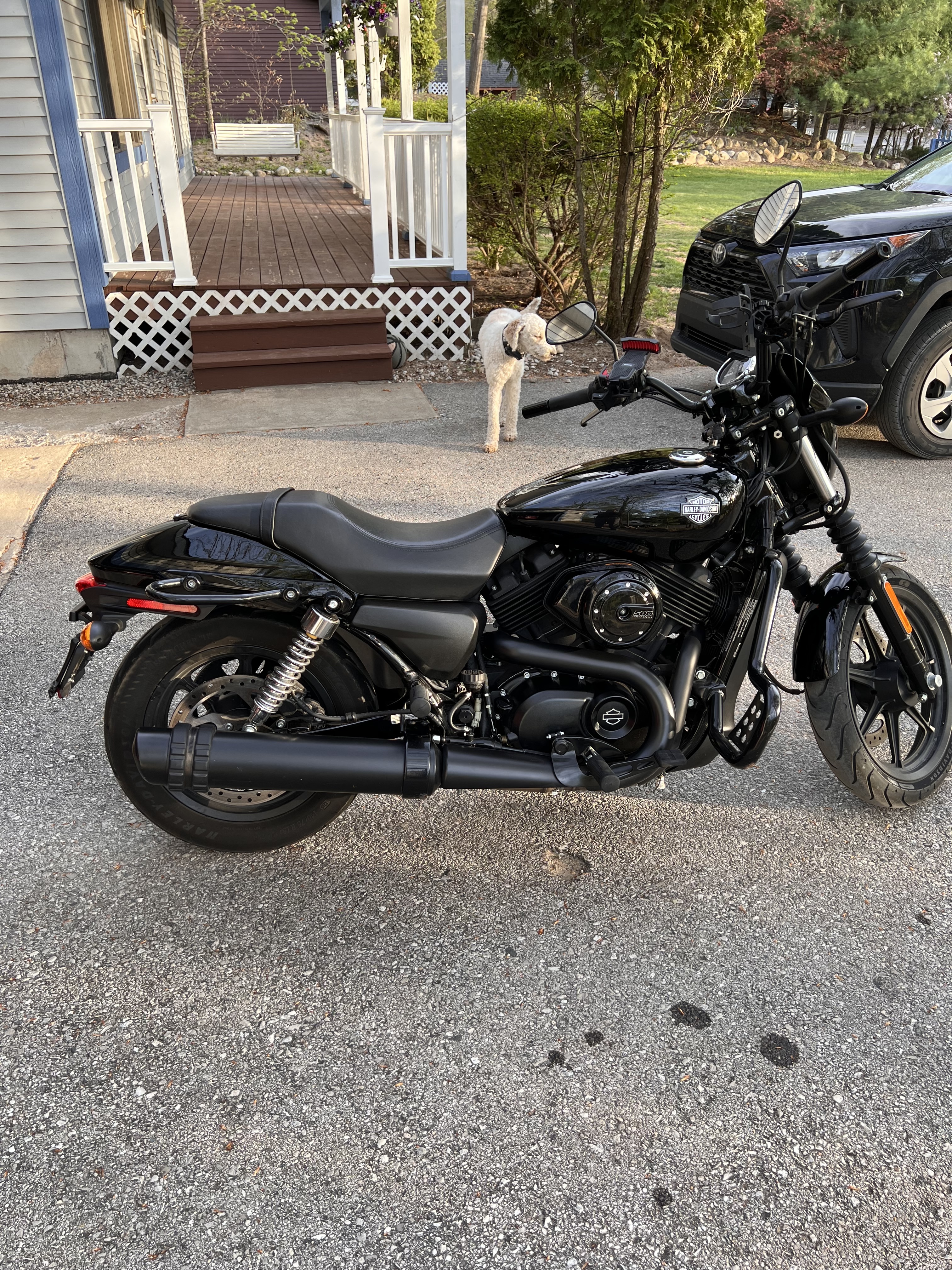 2016 Harley-Davidson STREET XG500 XG500 in Traverse City, MI