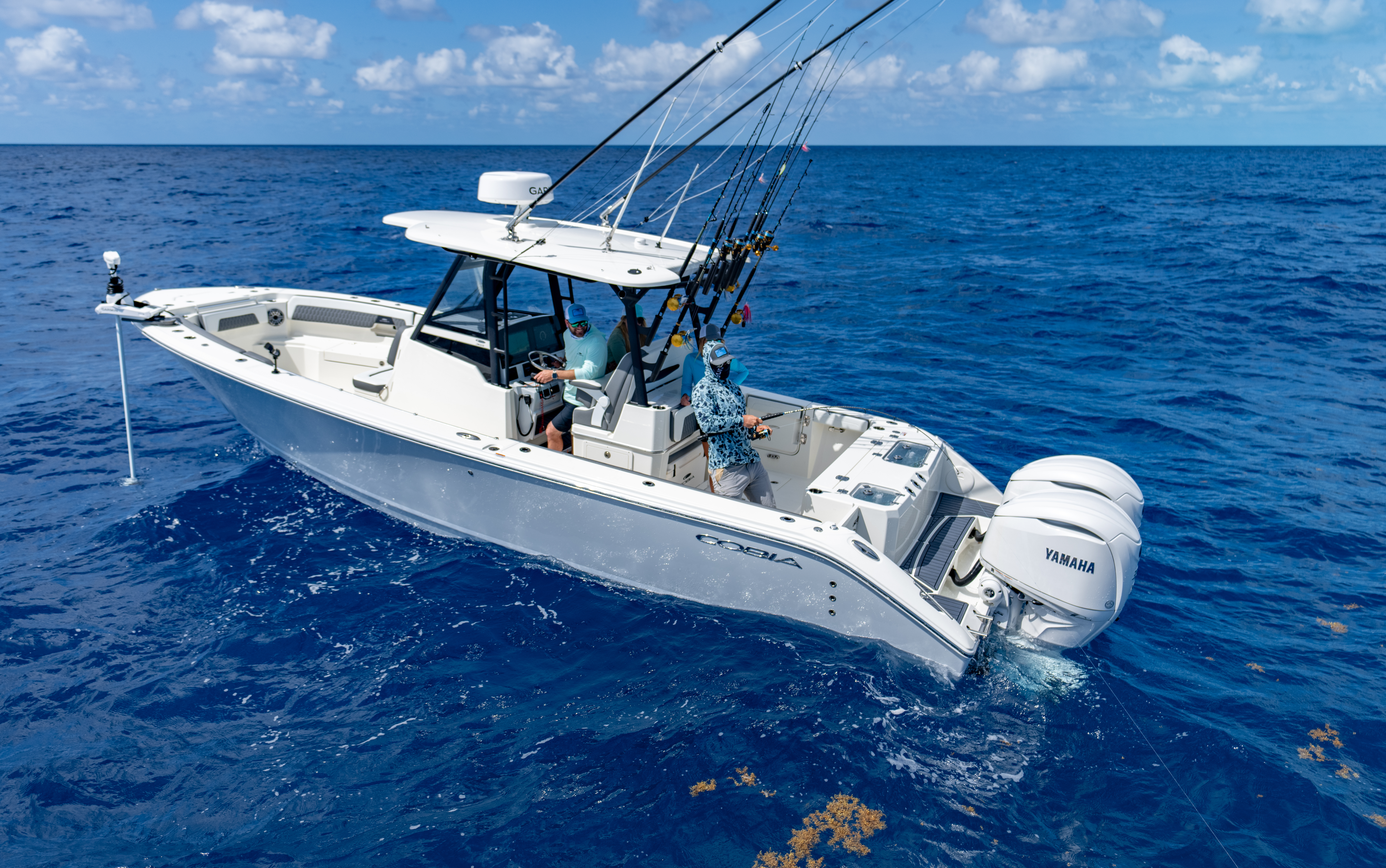 2026 Cobia 305CC in newport beach CA