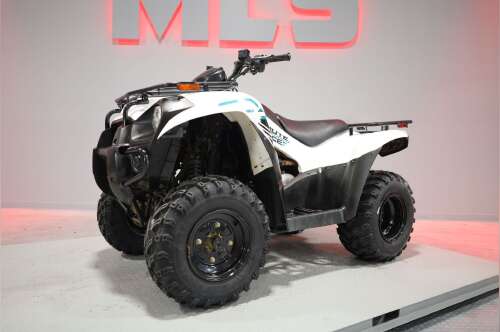 2022 Kawasaki Brute Force 300 in georgetown KY