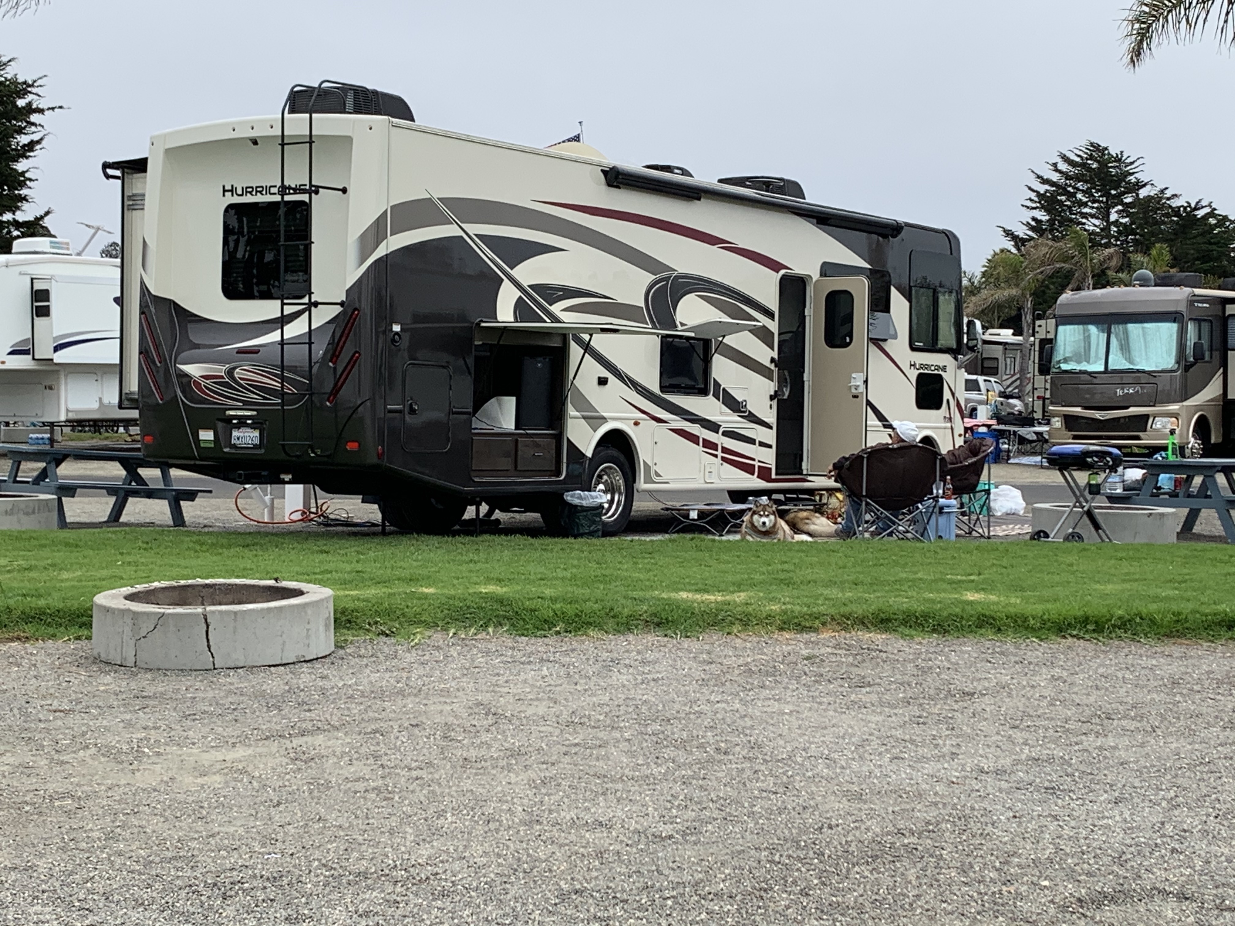 2019 Thor Motor Coach HURRICANE 34J in granada hills CA