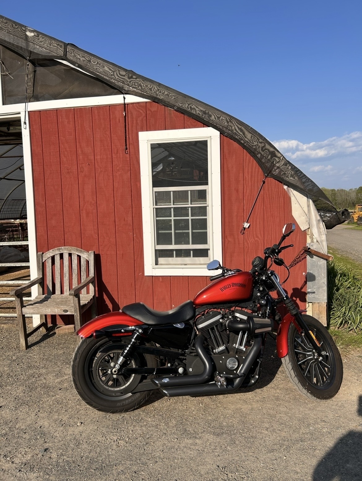2013 Harley-Davidson SPORTSTER 883 IRON IRON in Panama City, FL