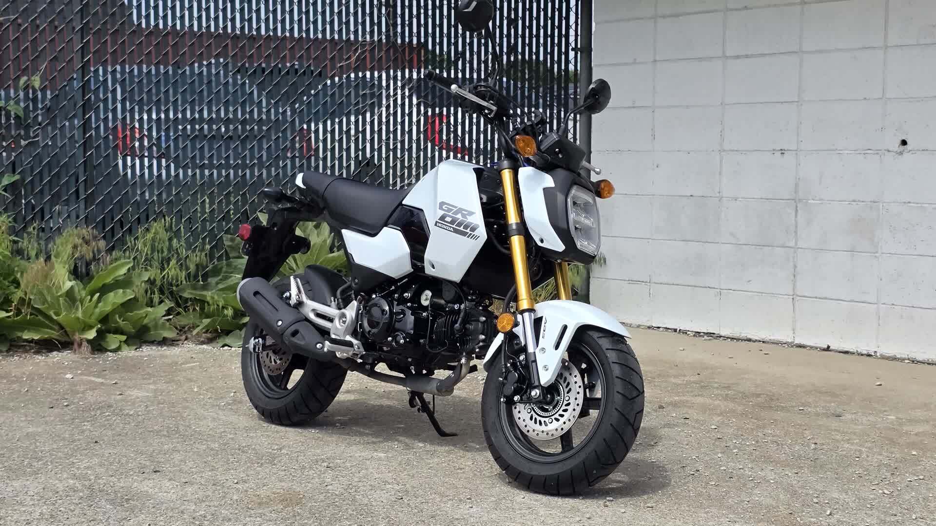 Motorcycles For Sale Near Petersburg, IN - Cycle Trader